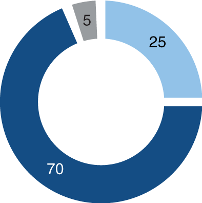 Gráfico sobre la distribución de la inversión para un perfil Dinámico: 70% en acciones, 25% en renta fija y 5% en liquidez.
